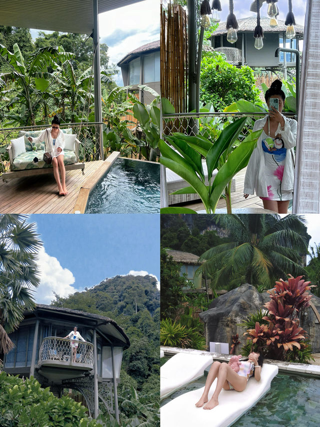15張圖帶你去住 Instagram 上爆紅的布吉樹屋！