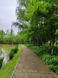浐灞濕地公園|景美景奇生態佳之地。