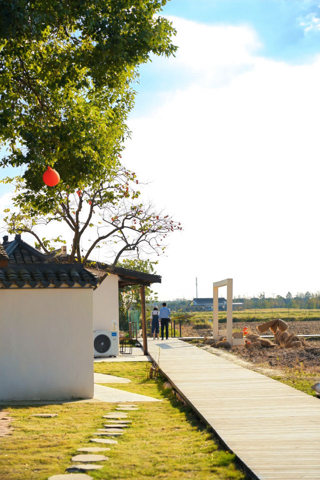 不敢相信上海也有喜洲版麥田就在李窯村。 不敢相信上海也有喜洲版麥田就在李窯村。