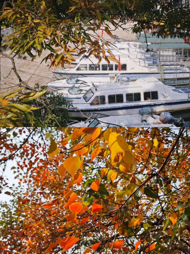 驻马店周边游|泌阳铜山湖，铜山湖森林公园！。