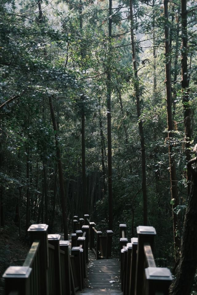 漁洋山蝙蝠線 |據說是蘇州的阿勒泰。