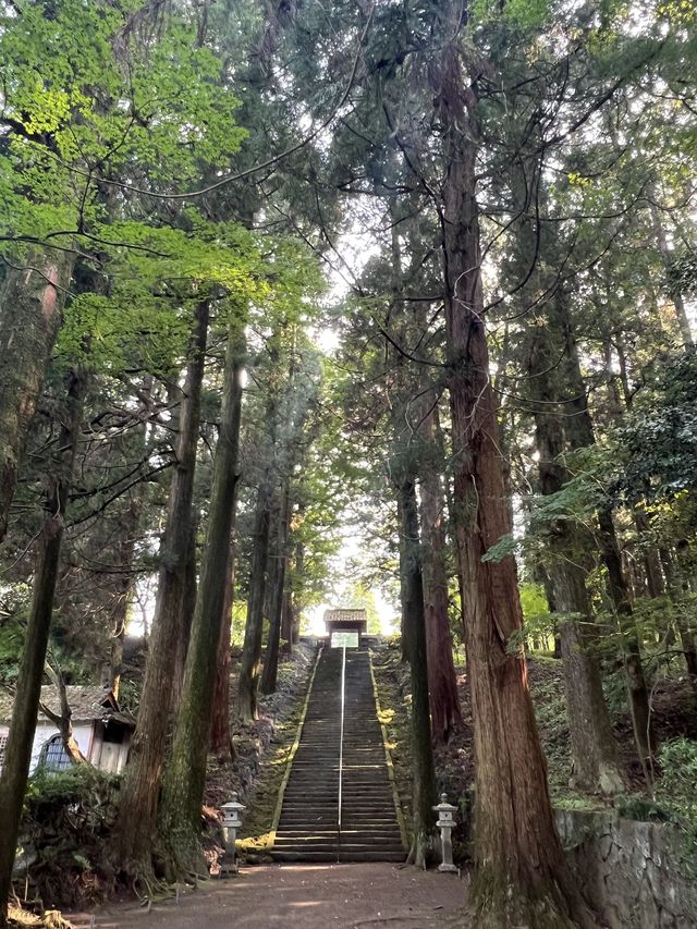 6日賞秋日本行 超美景點別錯過。