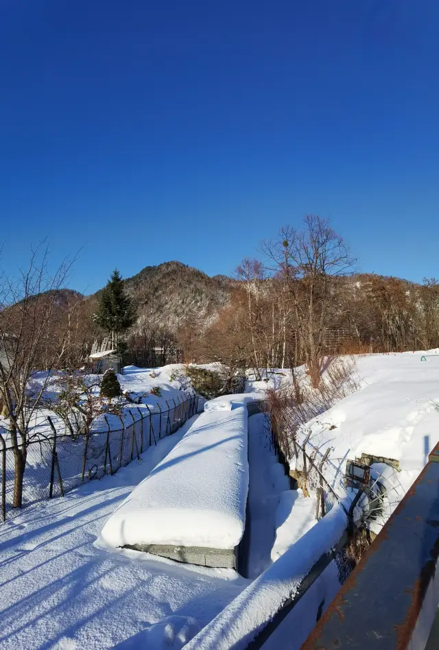 죠잔케이: 단풍과 온천의 가을 속삭임
