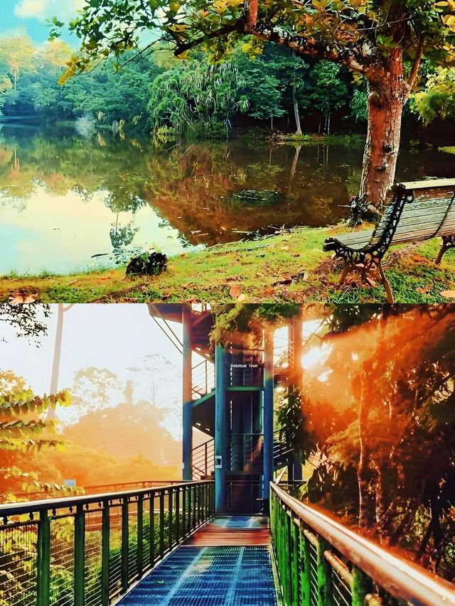 寶藏小城山打根｜一趟奇幻之旅。