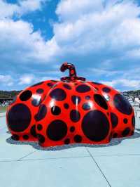 Get Ready for the 2025 Setouchi Triennale: Ticket and Island Hopping Guide!