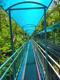石家莊｜我更愛這個藏在大山裡的戶外樂園。