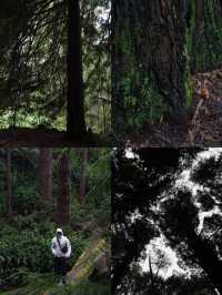 霍爾斯山谷：自然奇境與文化瑰寶的邂逅之地