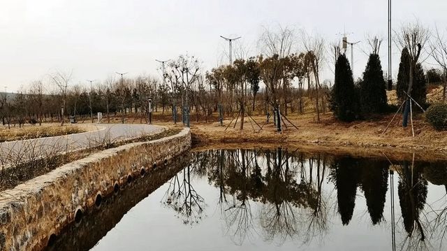 伊水遊園遊玩攻略