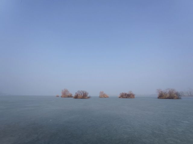 運城聖天湖｜冬天的天鵝湖