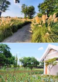 地鐵直達的免費公園有多絕！！！
