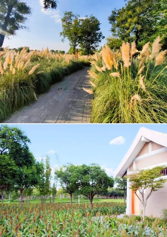 地鐵直達的免費公園有多絕！！！