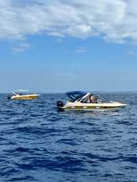 Sri Lanka | Mirissa Whale Watching Guide