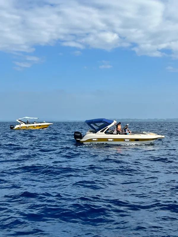 Sri Lanka | Mirissa Whale Watching Guide