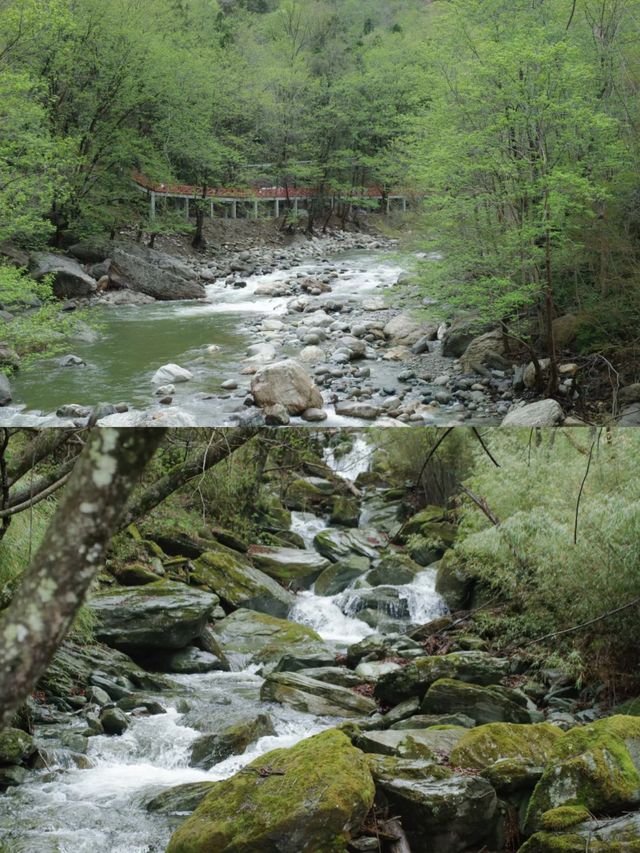 唐家河，一個讓人流連忘返的綠色天堂