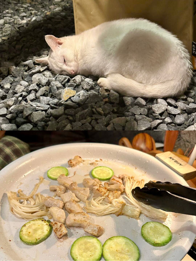 在泊心域·牧星營地和朋友玩了幾天  不想走了