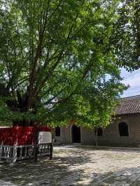 淮南報恩禪寺｜觀賞銀杏最佳地