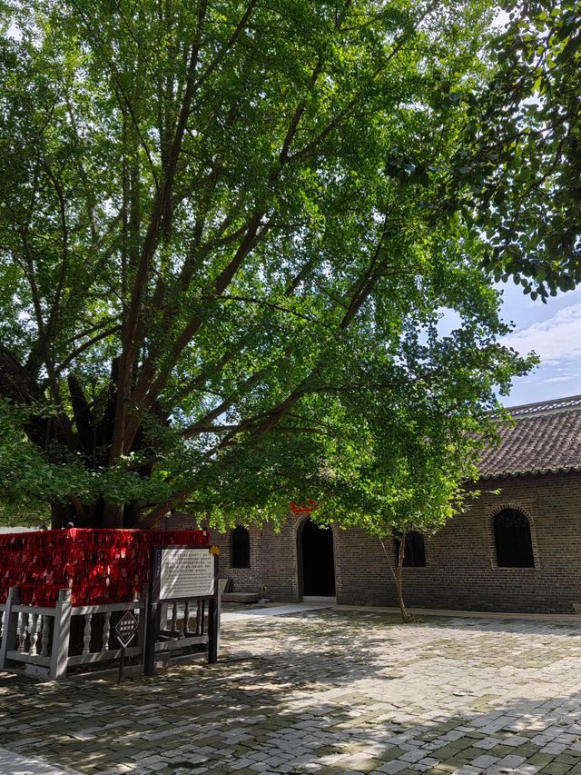 淮南報恩禪寺｜觀賞銀杏最佳地