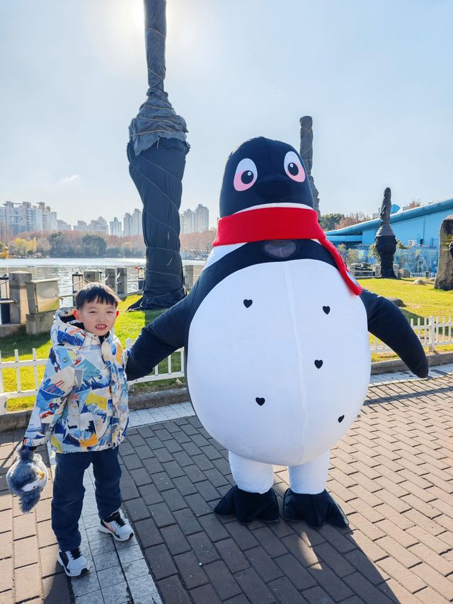 上海長風海洋世界的企鵝搬新家啦! 上海長風海洋世界的企鵝搬新家啦!