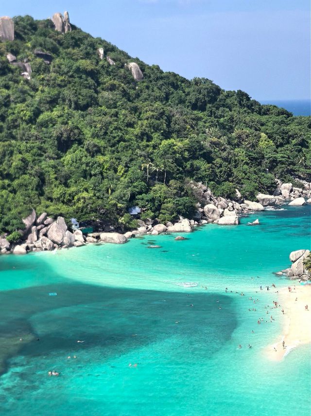 一份蘇梅島潛水攻略：