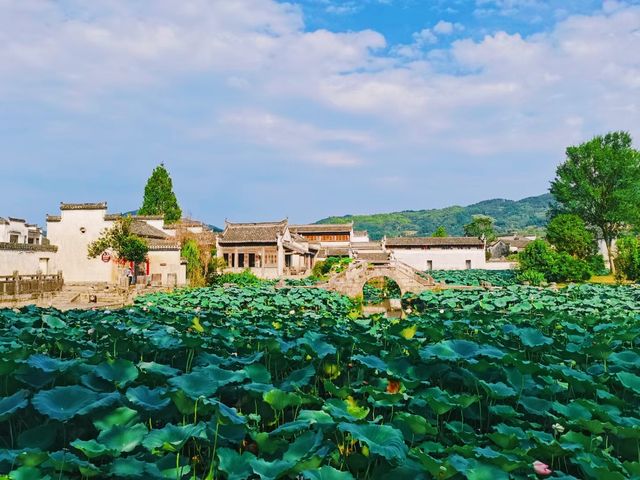游呈坎，一生無坎
