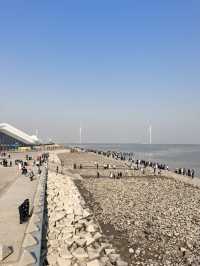 自駕天津東疆親海公園，帶娃看海鷗