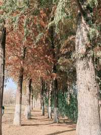 解鎖新年好心情-週末逛濕地公園