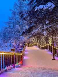 哈爾濱-雪鄉5日深度遊 滑雪攻略大揭秘