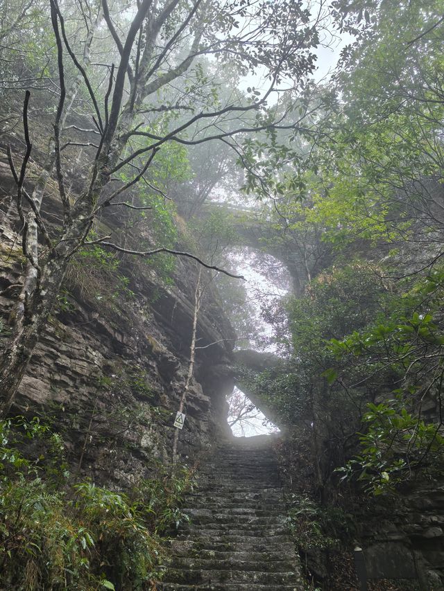 白岩山上白岩寺，立春時節春雨盛