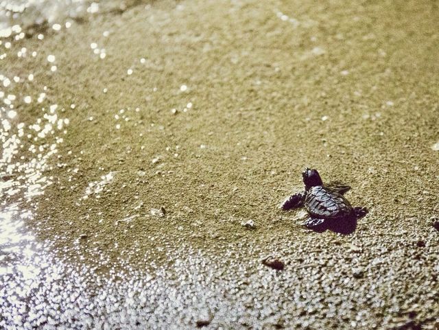 探索山打根里巴蘭島｜領略絕美自然風光