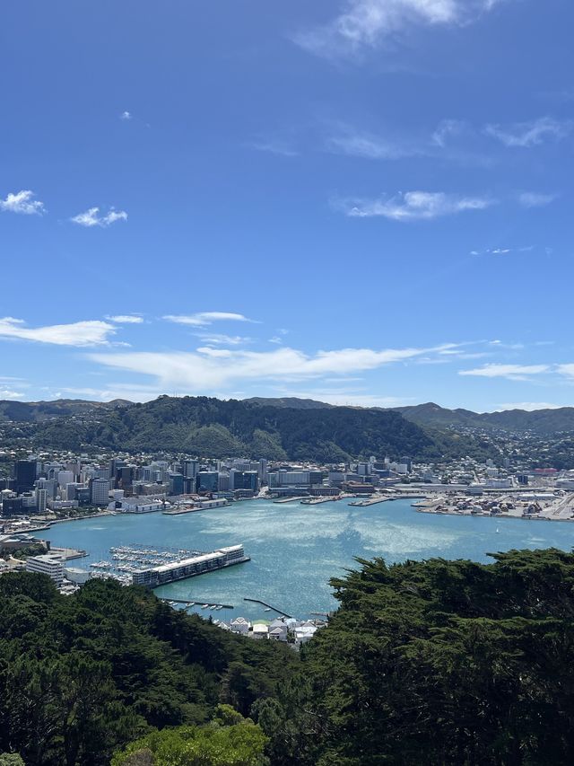 澳洲4日遊長者輕鬆玩轉攻略