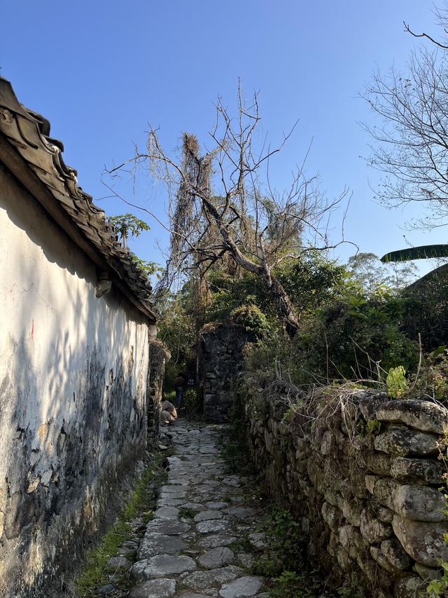 🪨廣東這個神秘古村竟用石頭造了600年