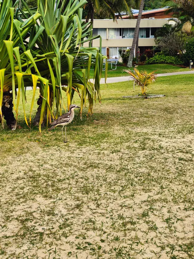 Winter in the US: Unmissable Scenery