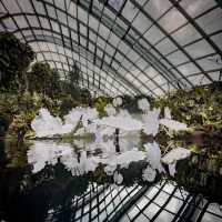 Cloud Forest is a MUST SEE!