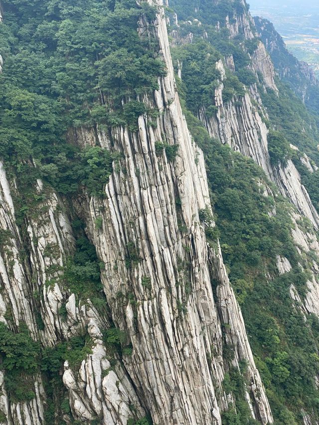 河南鄭州-開封-洛陽5天遊超詳細攻略不踩雷