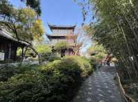 若有所失之「喬園」！
