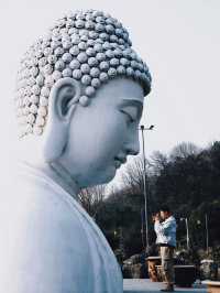 小眾一日遊｜我在南京發現了人間仙境海天佛國
