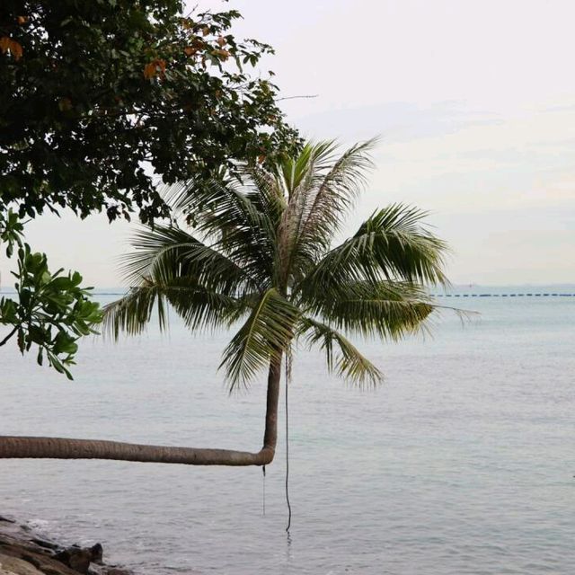新加坡，南洋無盡夏的夢幻之旅