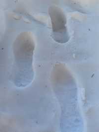 鏡頭下的大雪谷，雪蘑菇與霧凇的幻境交響