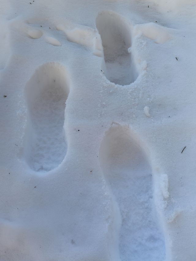 鏡頭下的大雪谷，雪蘑菇與霧凇的幻境交響