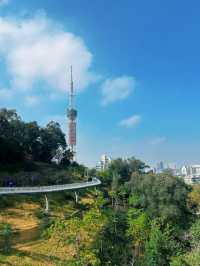 廣州春天｜雲道遠足吸氧｜越秀公園雕塑公園