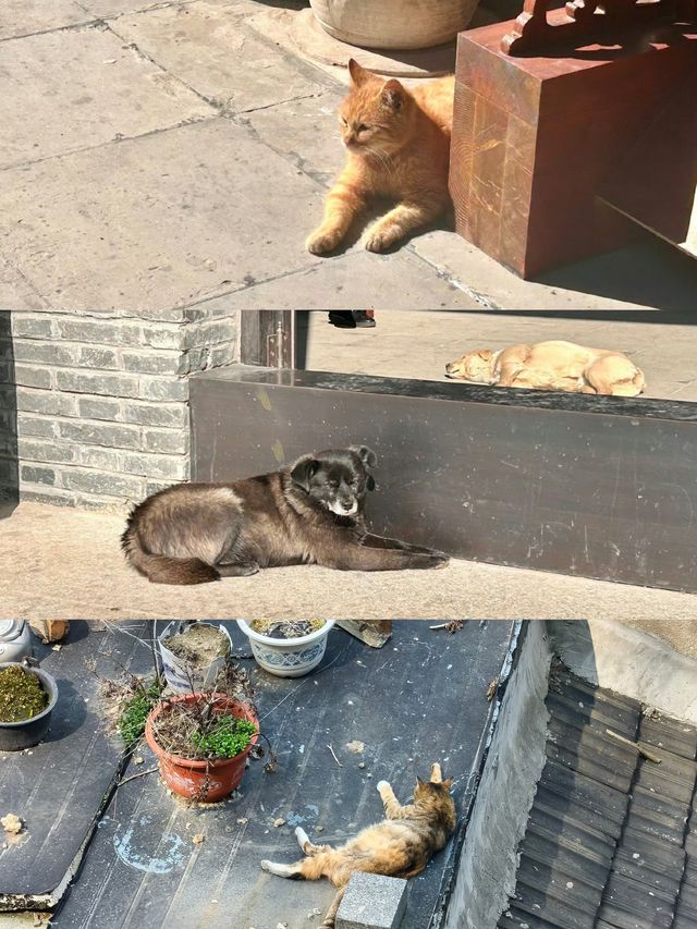 鎮江一座被低估的小眾城市