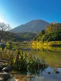 📍深圳｜恩上濕地公園👉週末吸氧好去處