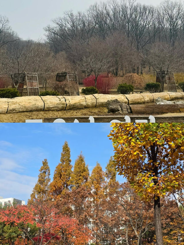 富川市 | 揭開韓國小眾寶藏旅行地