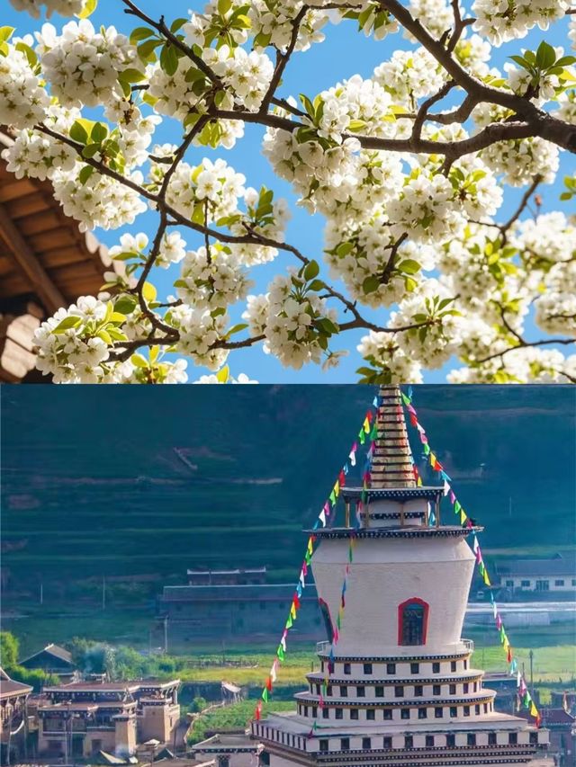 3月的金川，真的贏麻了。