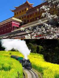 3月的金川，真的贏麻了。