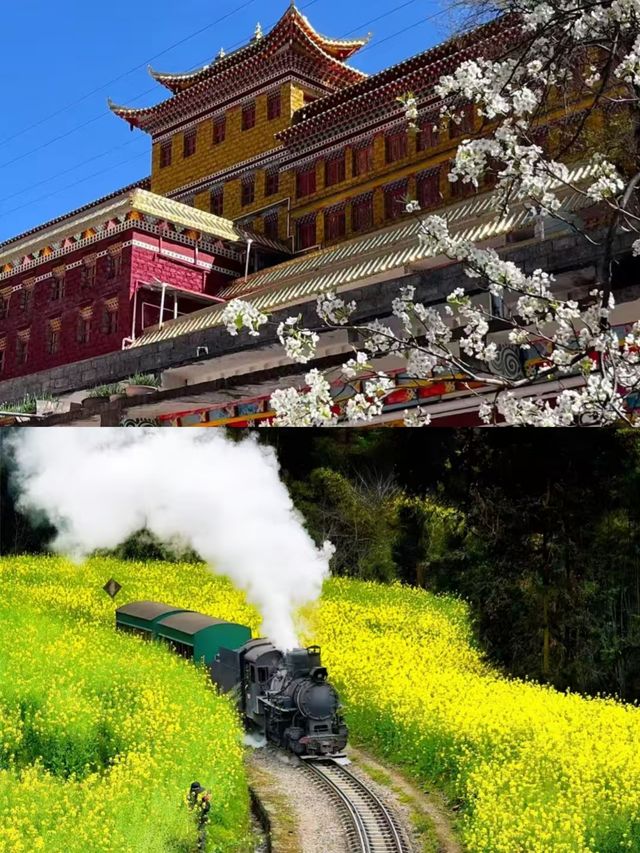 3月的金川，真的贏麻了。