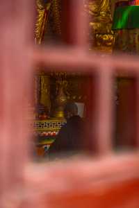 法雲寺｜鄭州最低調的千年古剎、位置在蝶湖