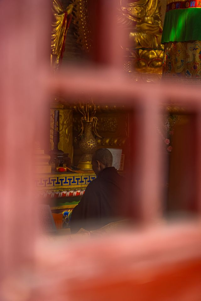法雲寺｜鄭州最低調的千年古剎、位置在蝶湖