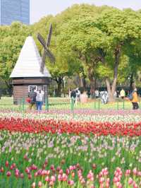 墜入花海！這個免費公園的含金量持續上升