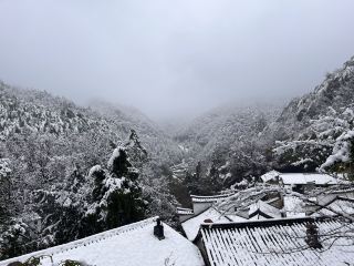 I encountered super beautiful snowy scenery in Jinhua.